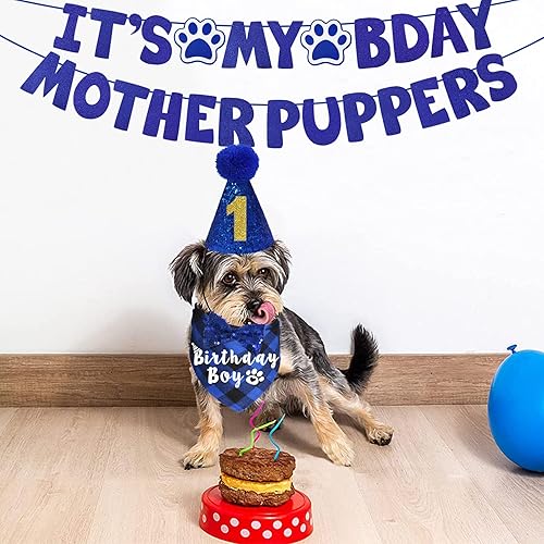 Miniatura 7 de Suministros para fiesta de cumpleaños para perros, varios tamaños, sombrero de cumpleaños para perro con números, bandana, pajarita, letrero con