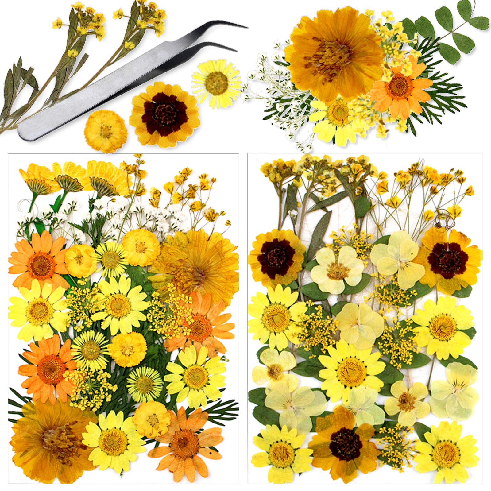 Whaline 67Pcs Natural Yellow Real Dried Press Flowers Dried Press Leaves Handmade Flower Petals Candle Making Flowers Press Plants for Craft DIY Resin Jewelry Making Floral Decors Home Decors