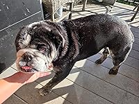 Review Image by Amazon_Shopoholic Amazon_Shopoholic