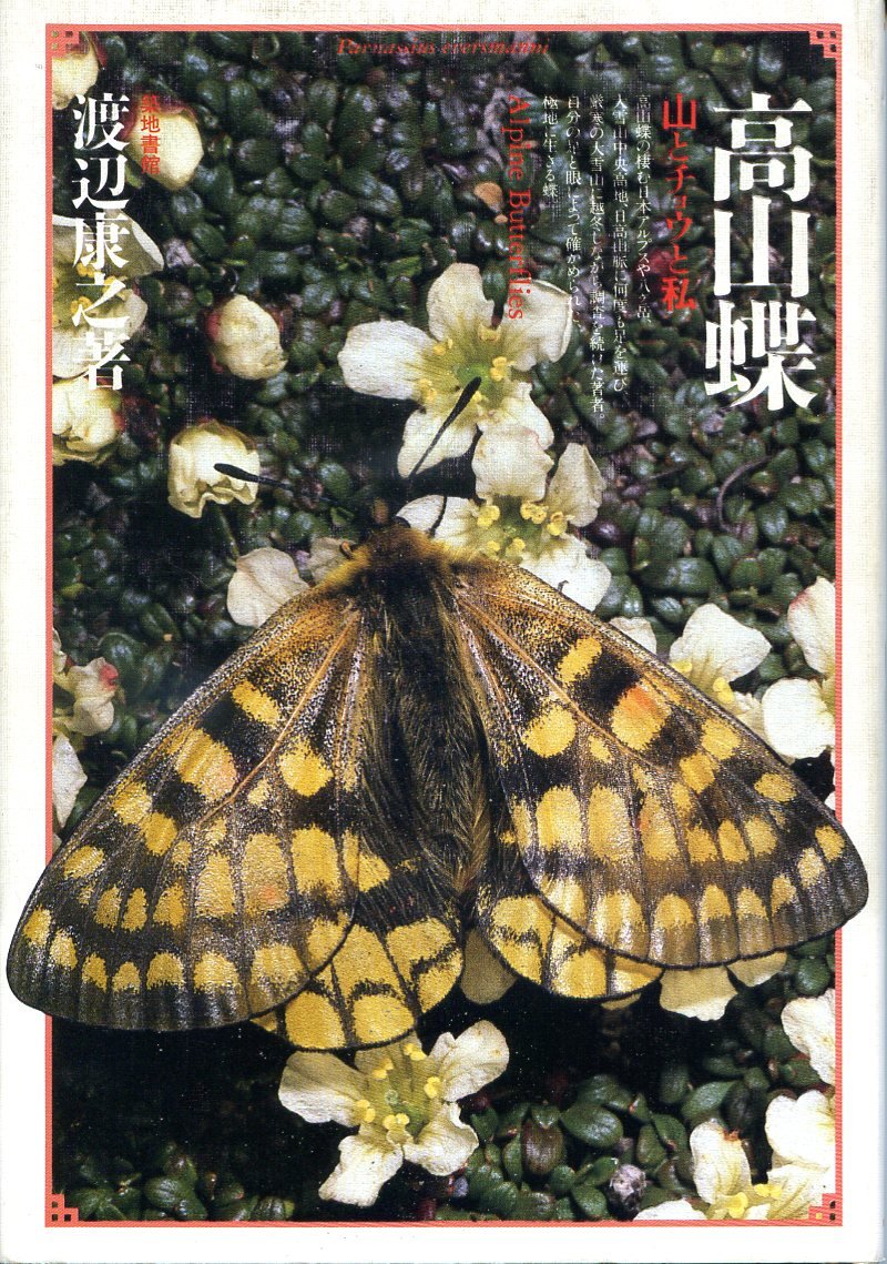 趣味・スポーツ・実用 Butterflies of Bhutan by Yasuyuki Yazaki Amazon.com: Yasuyuki Watanabe: books, biography, latest update
