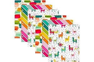 Pukka Pad Carpe Diem Girls School Folders