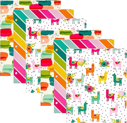 Pukka Pad, Carpe Diem - Carpetas de lavado de color Paquete de 6 carteras de bolsillo con 3 perforadores para contenedores de anillo estándar