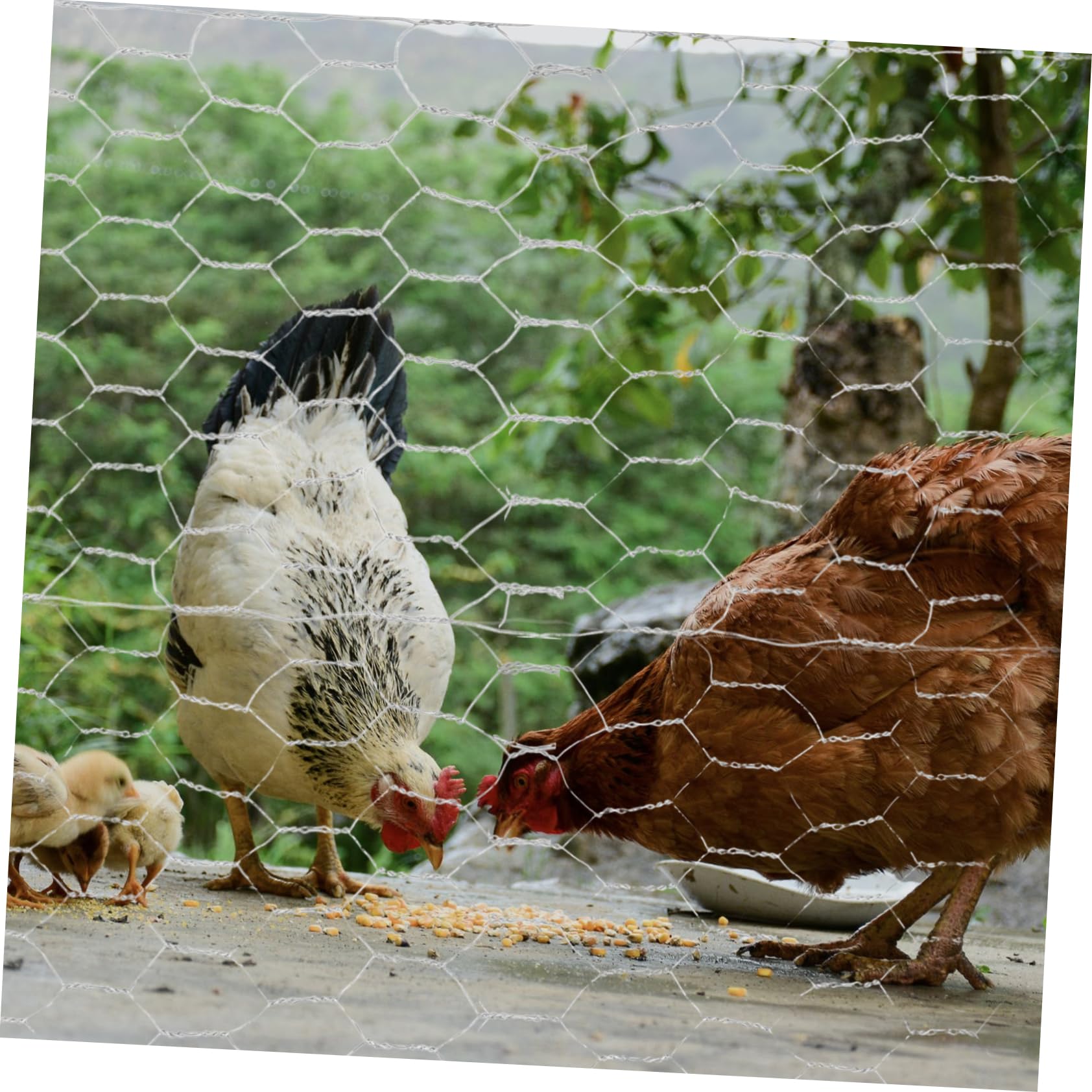 鶏用 電気ネットフェンス 2 中古 鶏用 電気ネットフェンス 2 中古