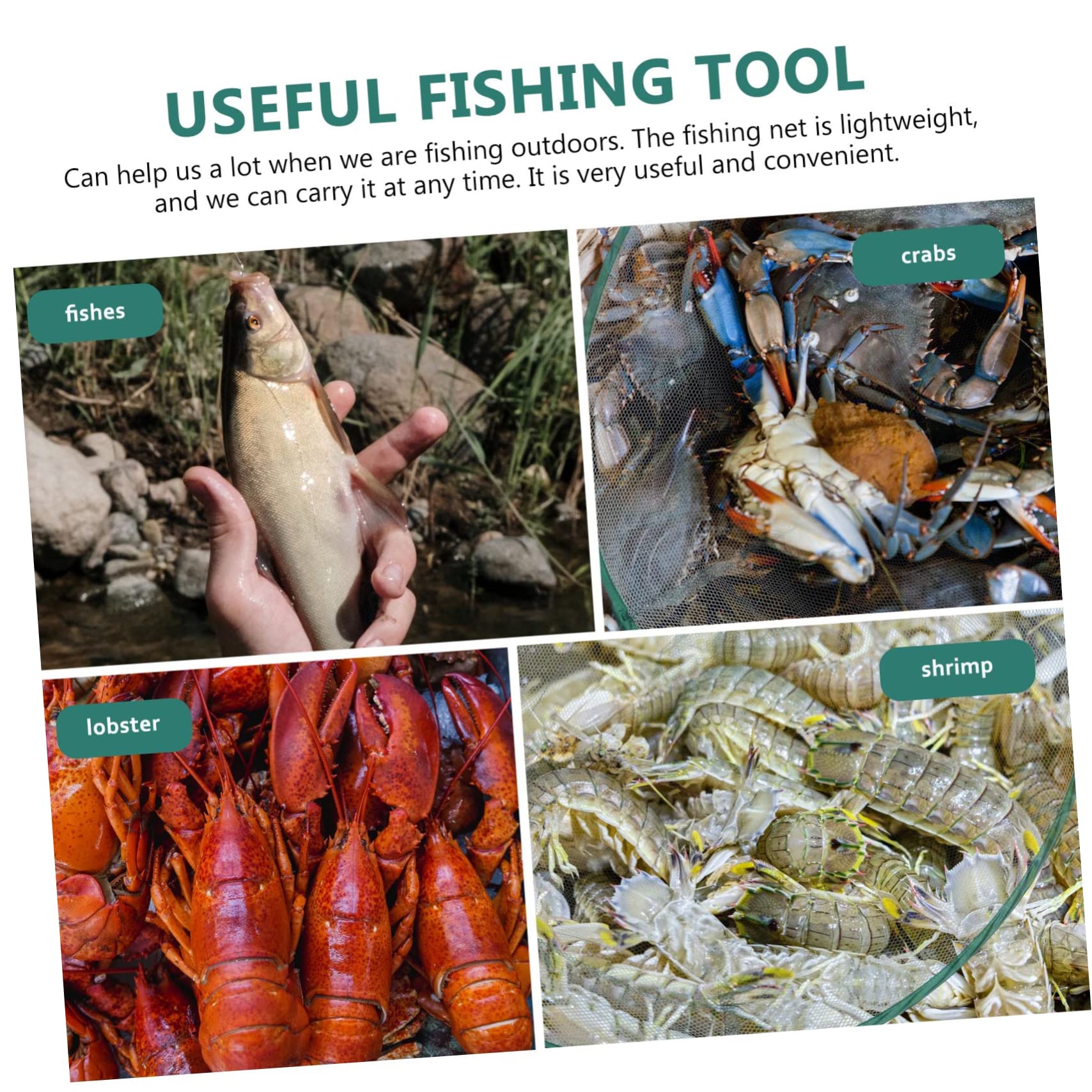 Red de Pesca Plegable de Mano para Cangrejos y Camarones 1