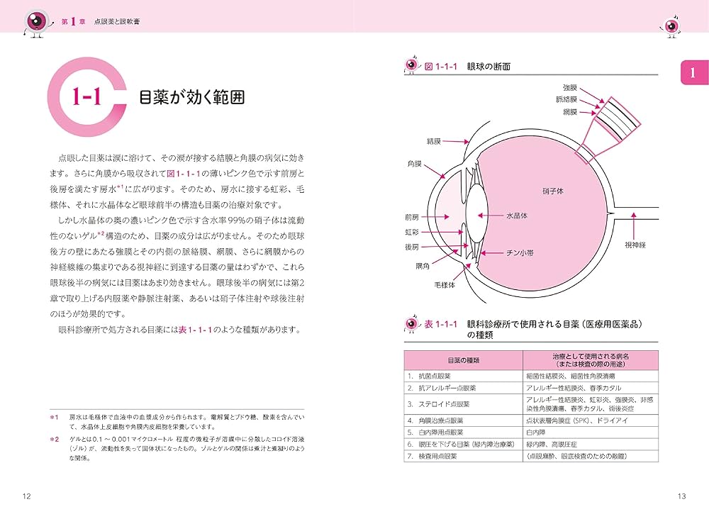 ココが知りたかった! 目の病気のメカニズム―超わかりやすい病気