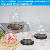 Vista 4 de PATIKIL Cúpula de cristal transparente Cloche de 4 pulgadas, vitrina de cristal con forma de globo, centro de mesa con base de madera natural
