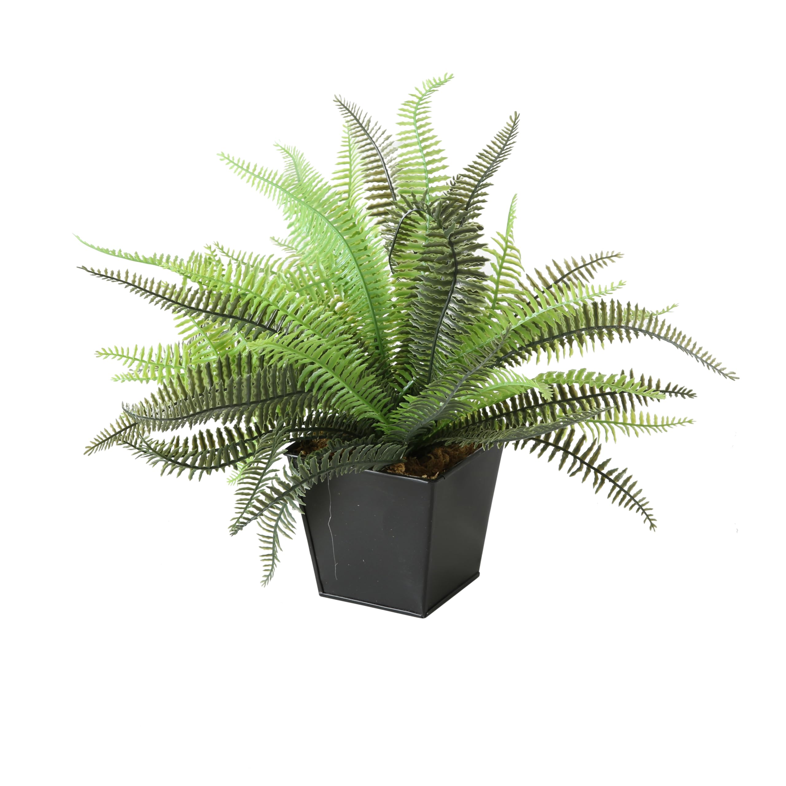 WHW Whole House Worlds Realistic Fern Faux Petite Potted Plant, Artificial, Realistic Leaves and Stems, Square Black Pot, Approx. 15" Diameter and 9"