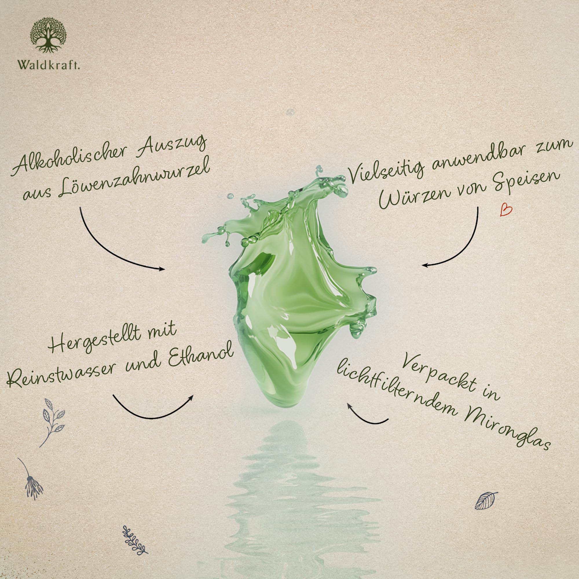 Waldkraft Löwenzahnwurzel-Extrakt | Alkoholisch-wässriger Auszug 1:5 | Traditionelles Wildkraut - Feiner Wurzelextrakt | Ideal zum Würzen von Speisen & Getränken | Vegan | 50 ml im Mironglas