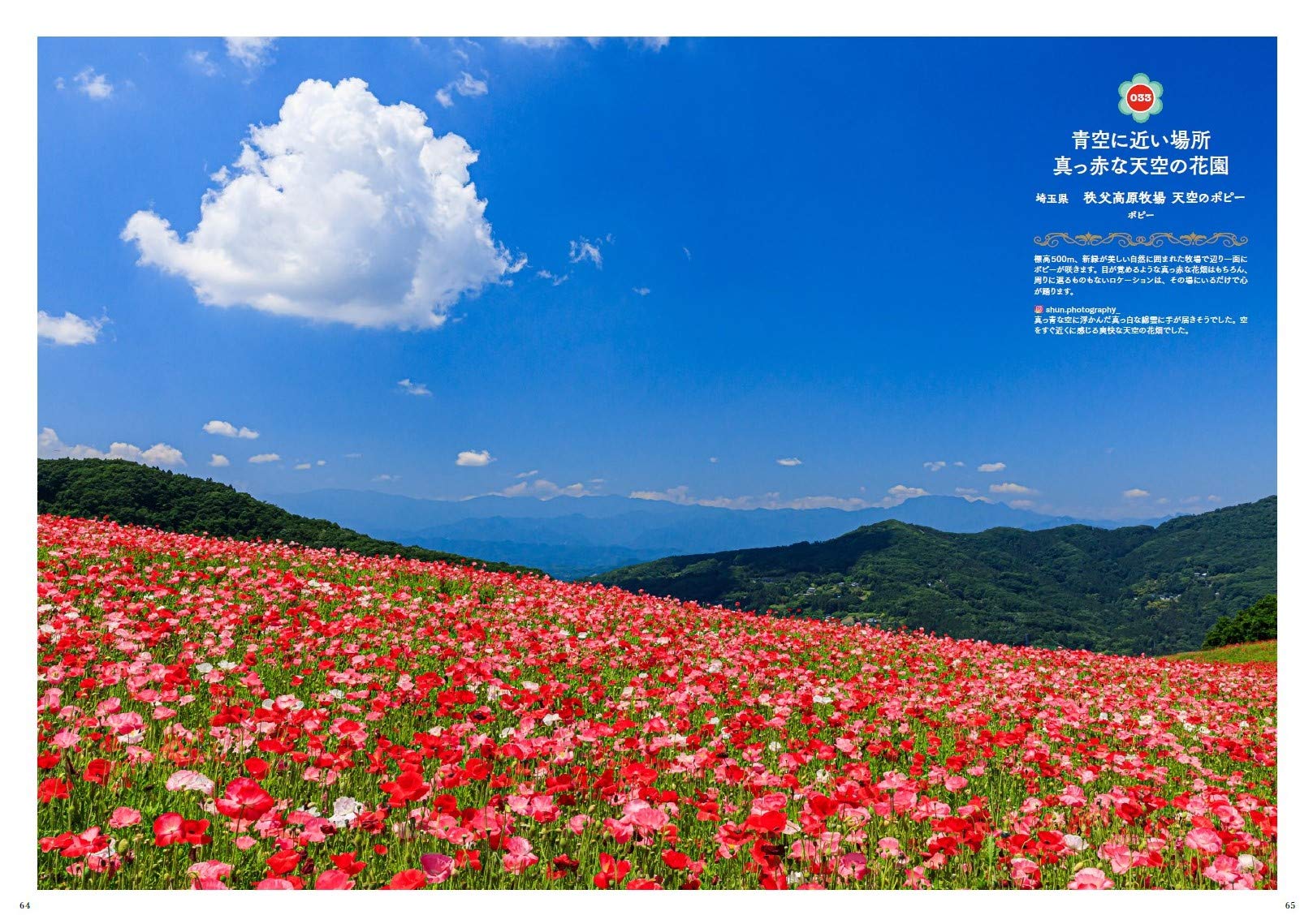 世界中に贈りたい花の絶景100 はなまっぷ本 はなまっぷ 本 通販 Amazon