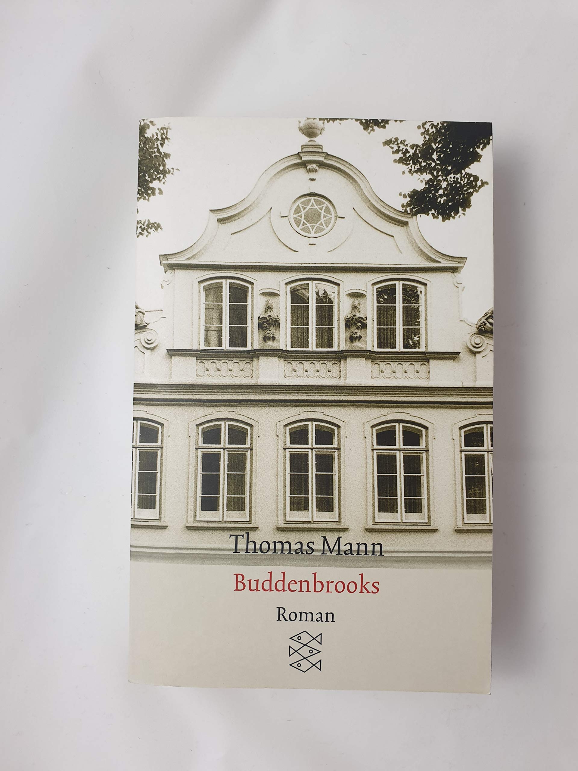Buddenbrooks: Verfall einer Familie | Die wichtigsten Werke Thomas Manns aus dem Originalverlag