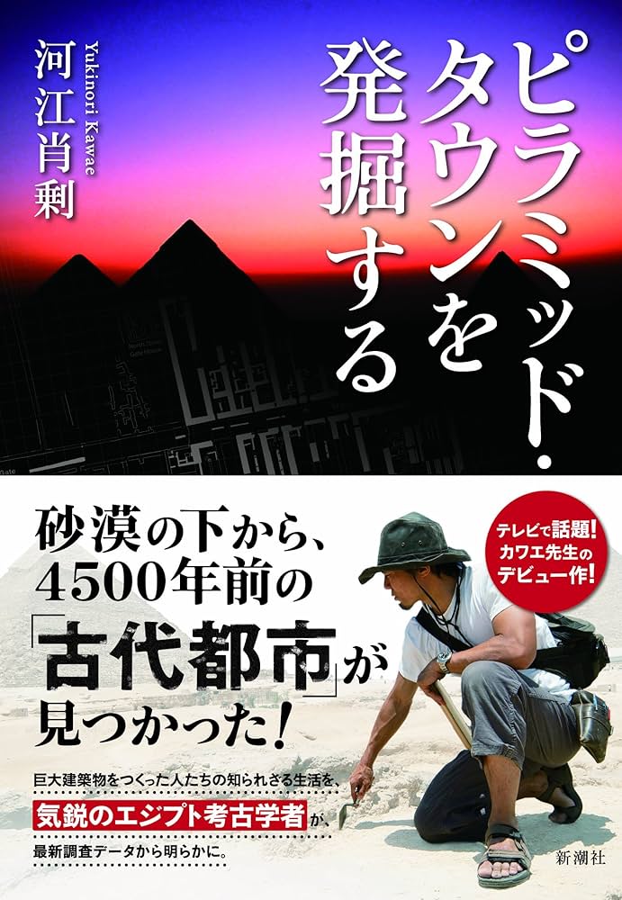 Amazon.co.jp: ピラミッド・タウンを発掘する : 河江 肖剰: 本