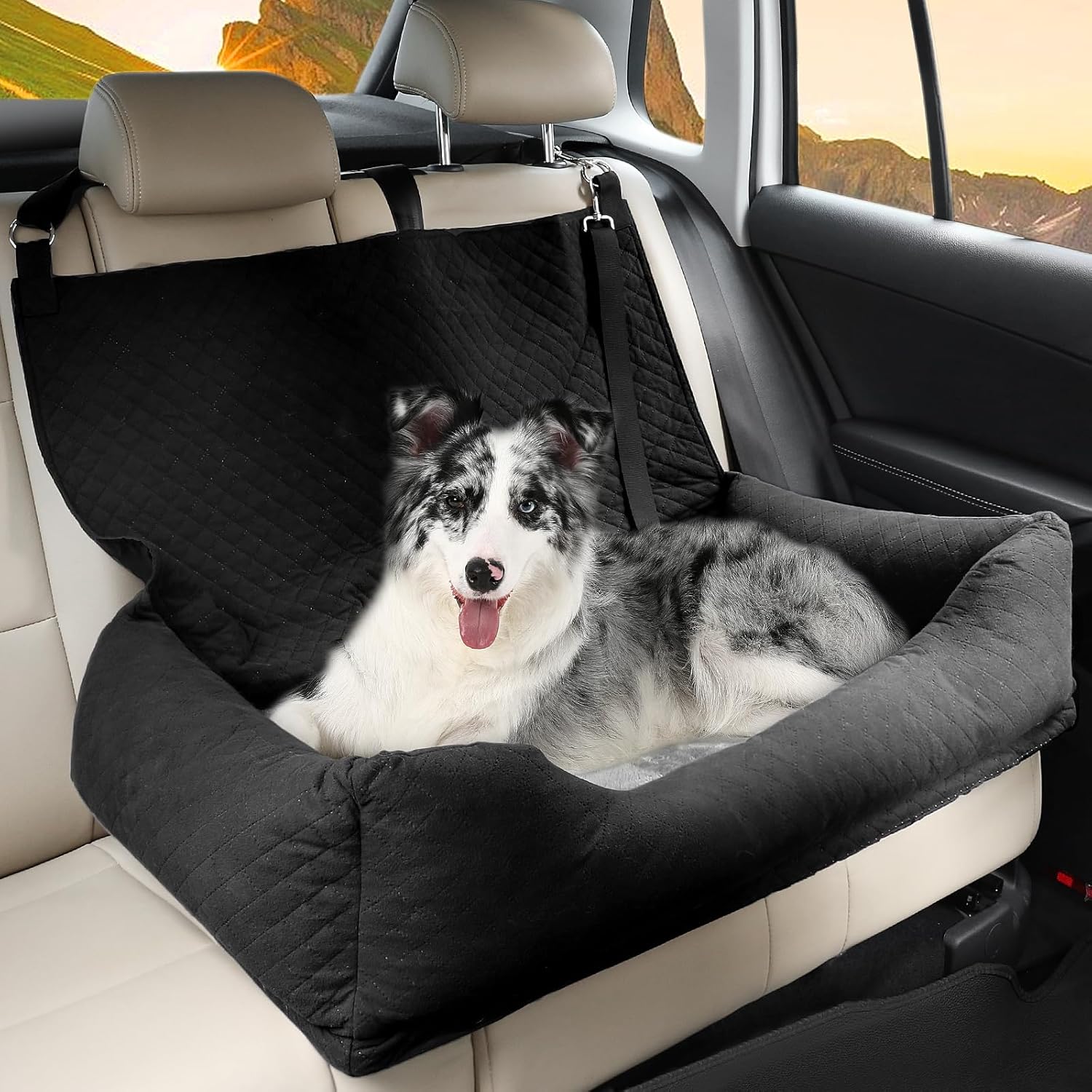 Safe & Comfortable Dog Car Seat for Medium to Large Dogs Under 60lbs Safe & Comfortable Dog Car Seat for Medium to Large Dogs Under 60lbs