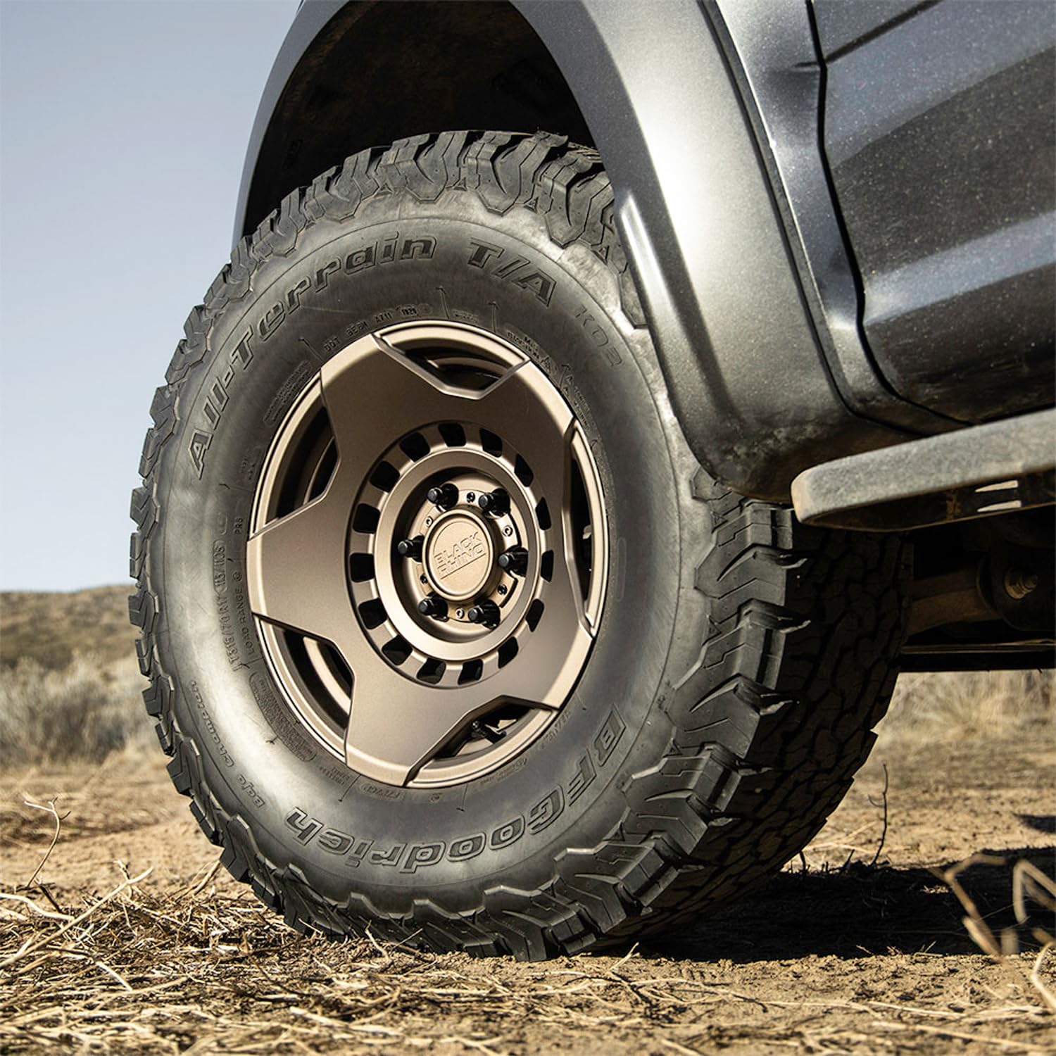 Amazon.co.jp: BFGoodrich L315/70R17 113/110T C/6oodrich ALL-TERRA
