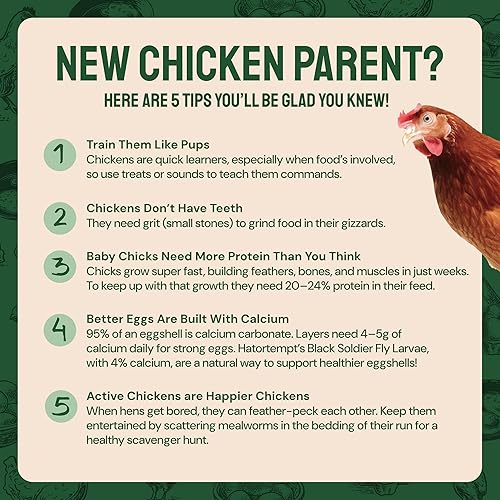 Miniatura 9 de 5libras de gusanos secos para aves pollo pescado