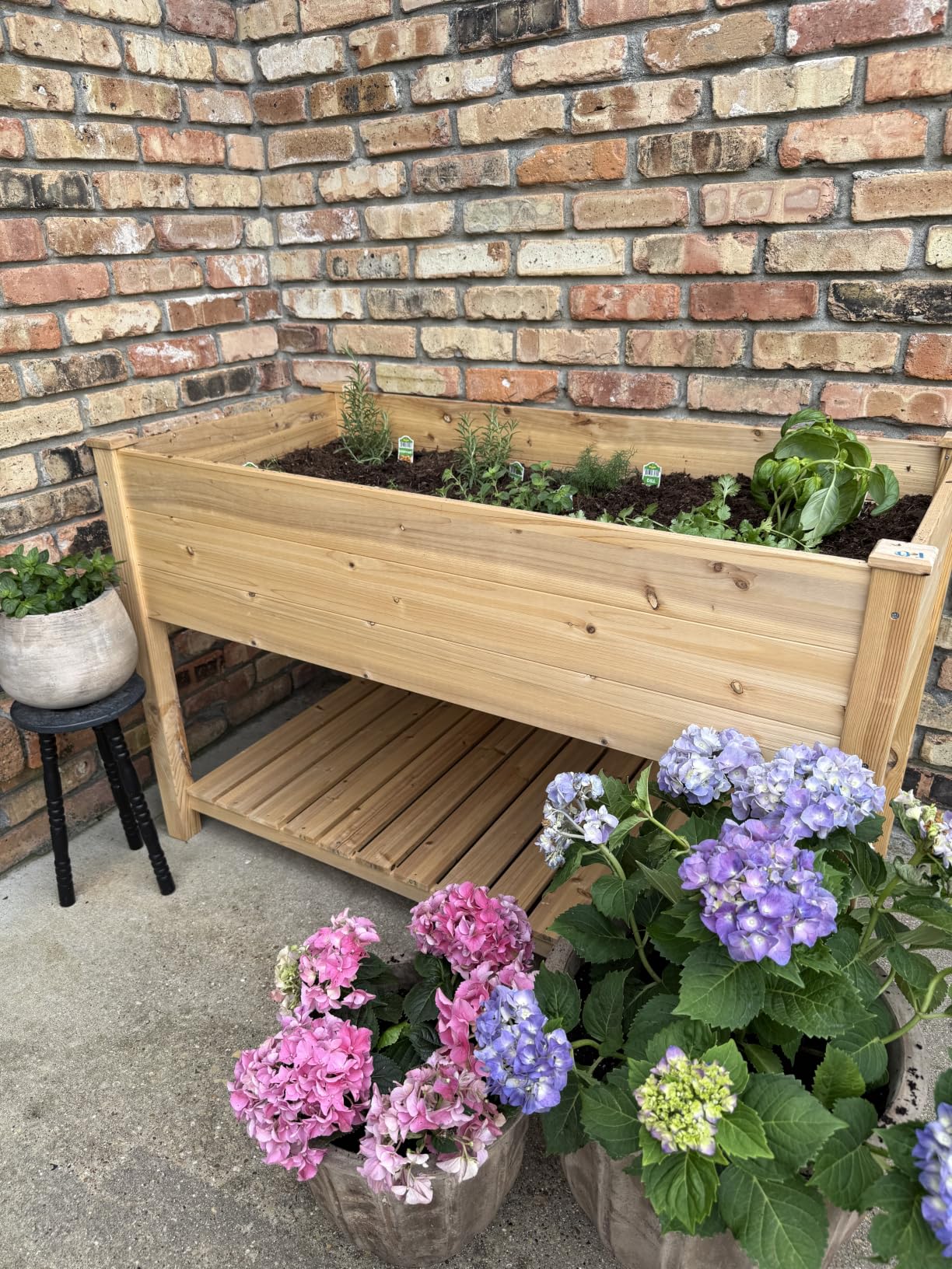 Customer Image