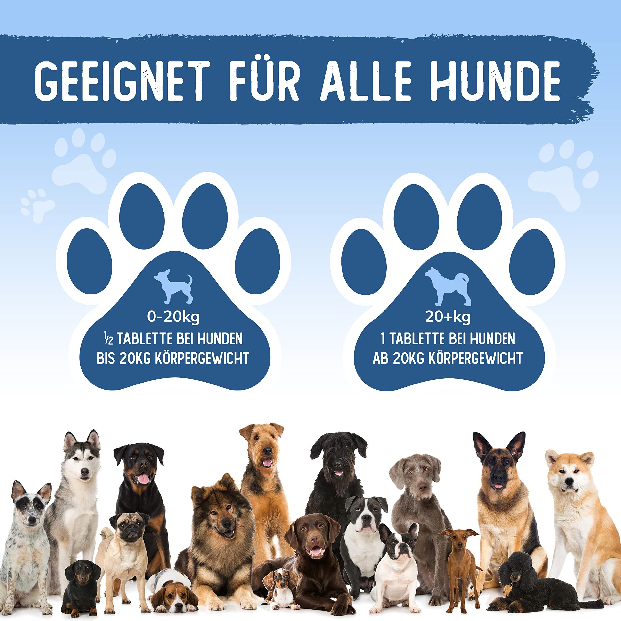 Tierkraft Gelenktabletten für Hunde - Made in Germany - Gelenktabletten mit Grünlippmuschel - Teufelskralle - MSM - 100 Gelenk- & Knochenschutz Tabletten