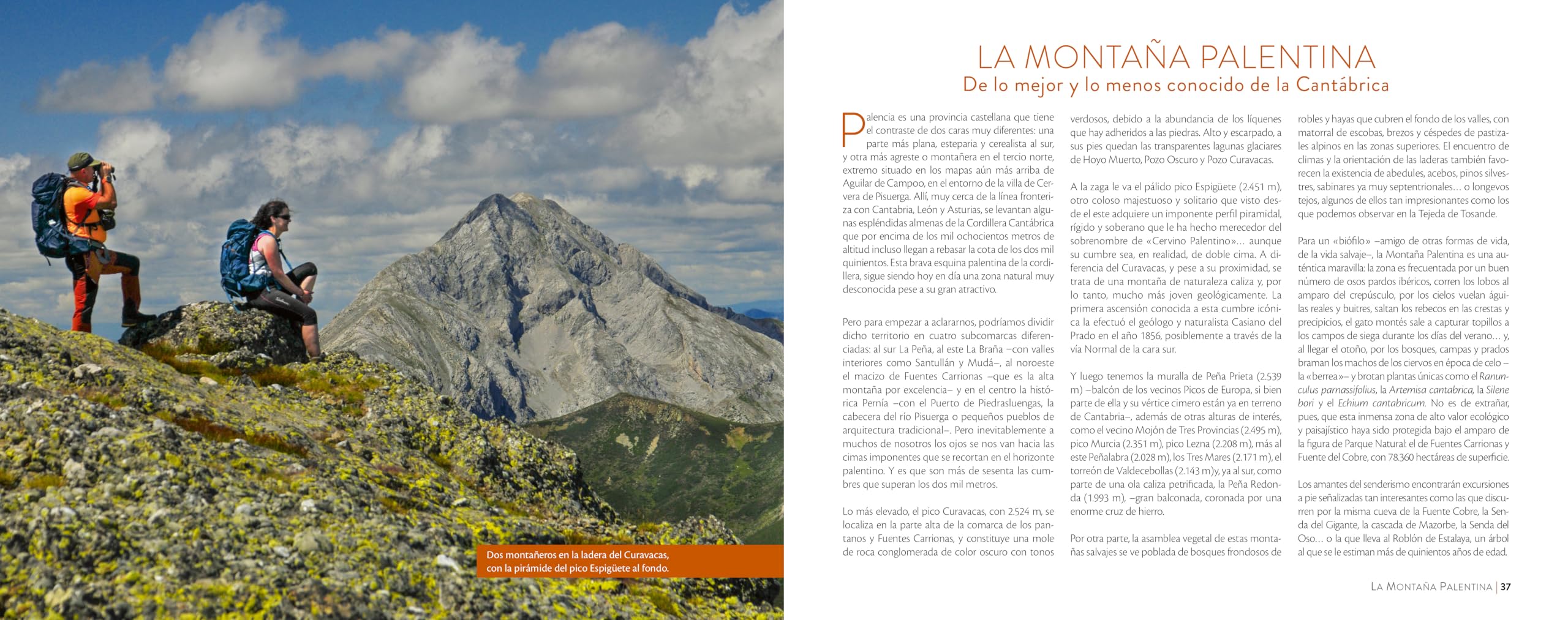 Cuaderno de campo de las montañas de España (Guías Singulares)