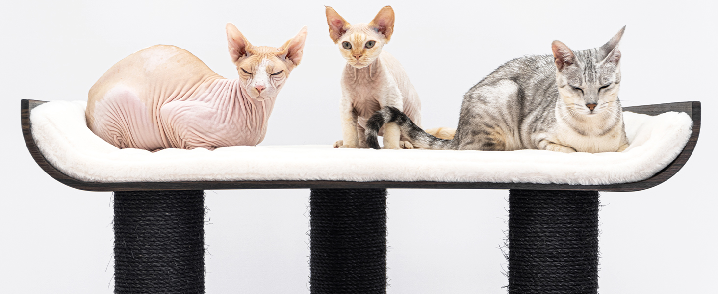 Petrebels Virgo XXL Kratzbaum Aus Holz, 200cm Hoch – Für Große Katzen (bis 25kg), Mit Hängematten & Sisal