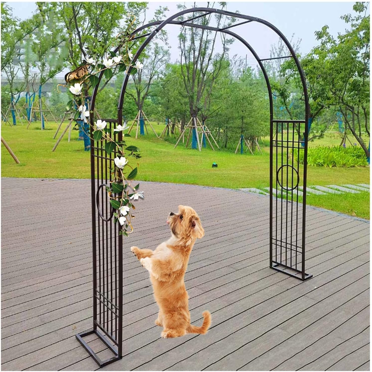 Arche en métal pour arches de jardin extérieures et diverses fleurs
