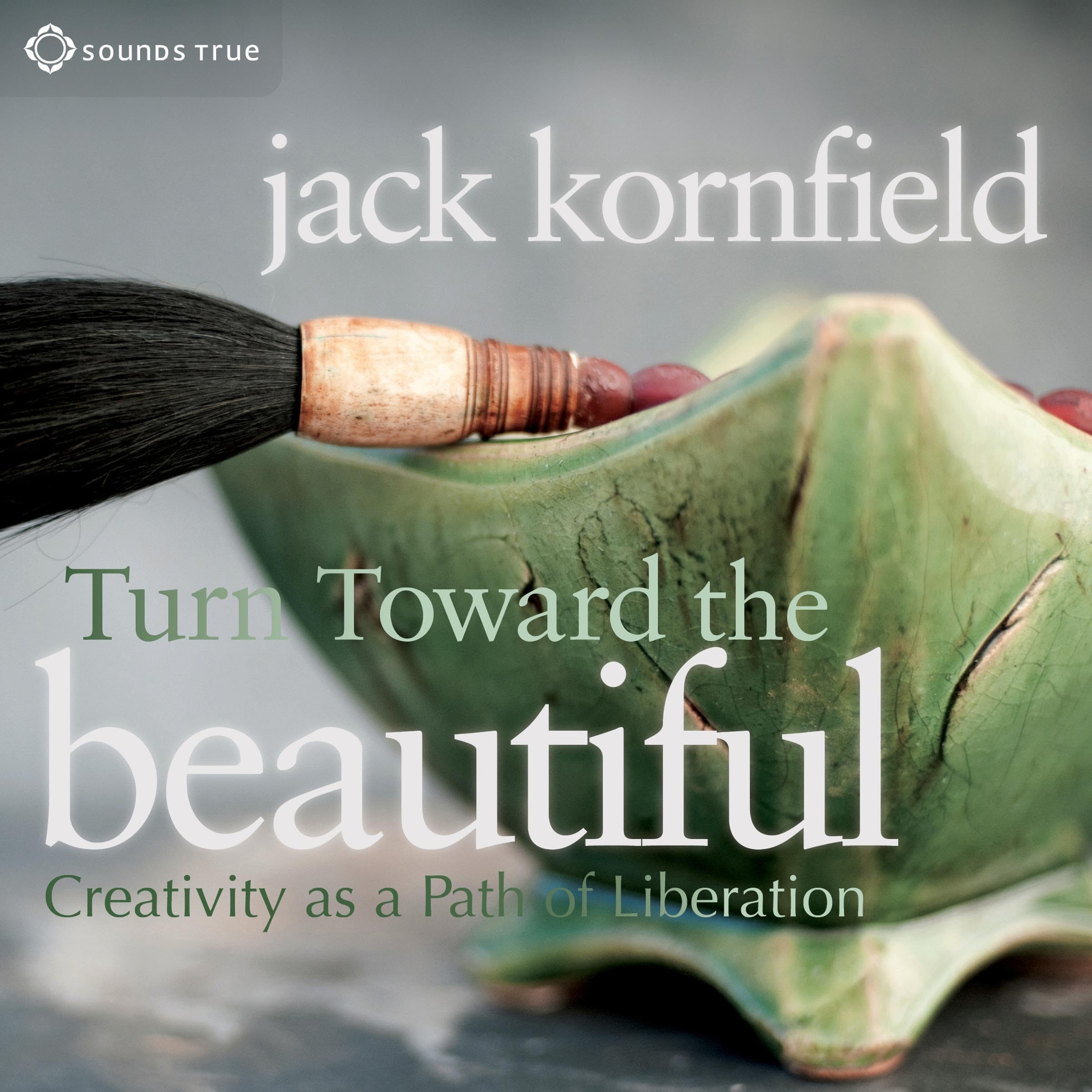Cover art for Turn Toward the Beautiful
