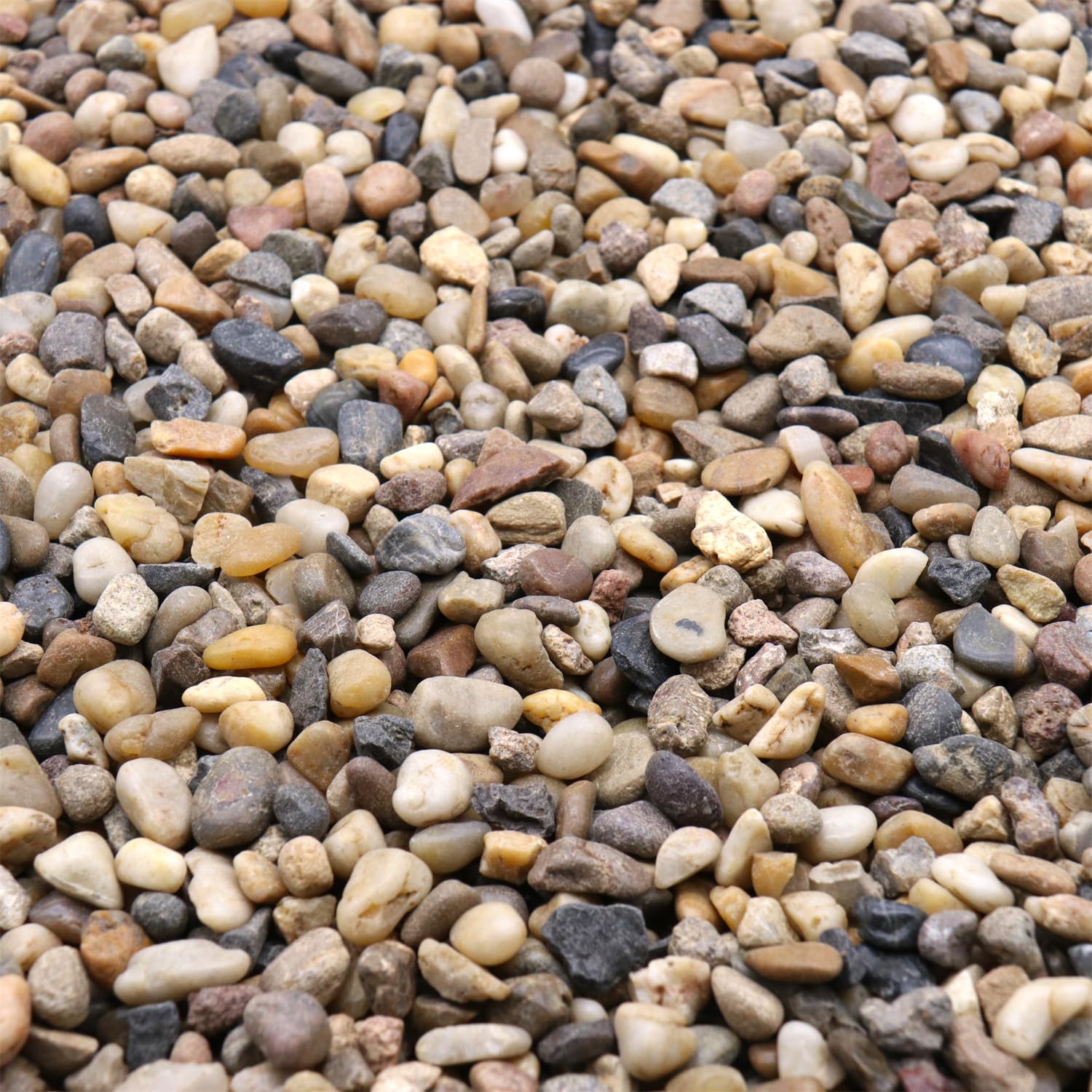 Rocce per piante. Ciottoli decorativi di colori misti. 1,27 cm, 4,5 kg. Per giardino, paesaggistica, interni, riempimento di vasi, artigianato, piante grasse, vasi,