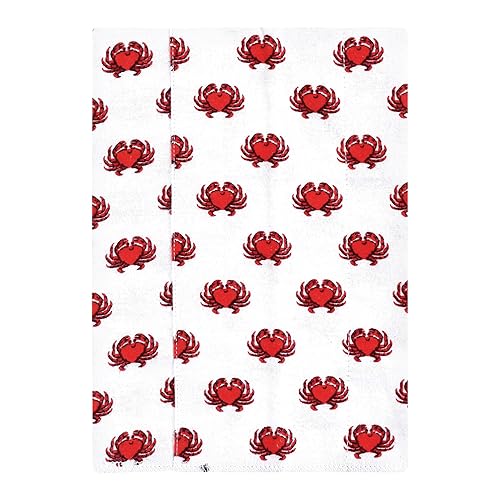 Miniatura 613 de Hudson Baby - Paños unisex de franela de algodón para bebé, avión, talla única