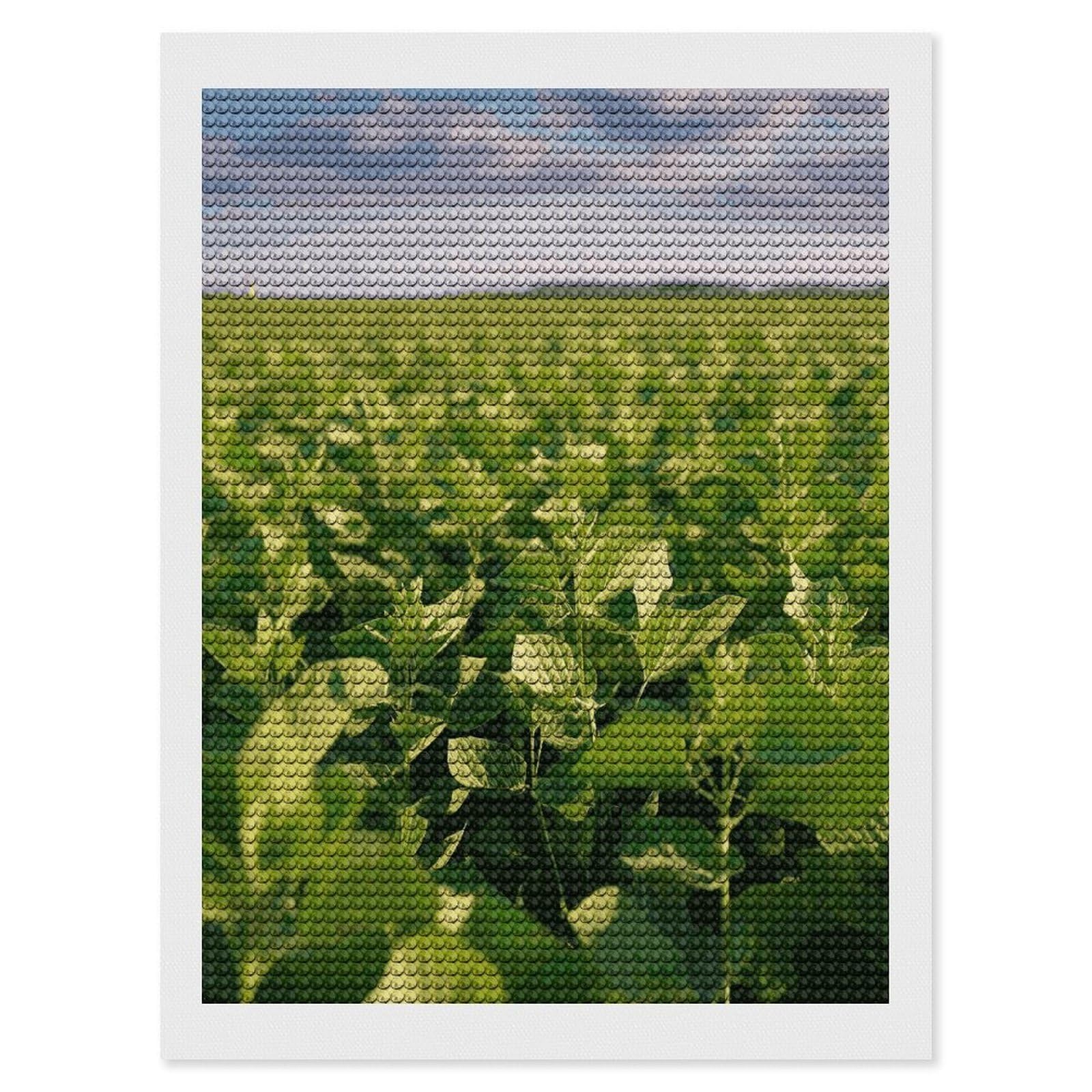 LDGSUPH Soybean Field Diamond Painting Kits for Adults Paint with Diamond Pictures Art DIY Full Drill Diamond Dots Painting Personalized Diamond Photo for Home Wall Decor Gift 12"x16"