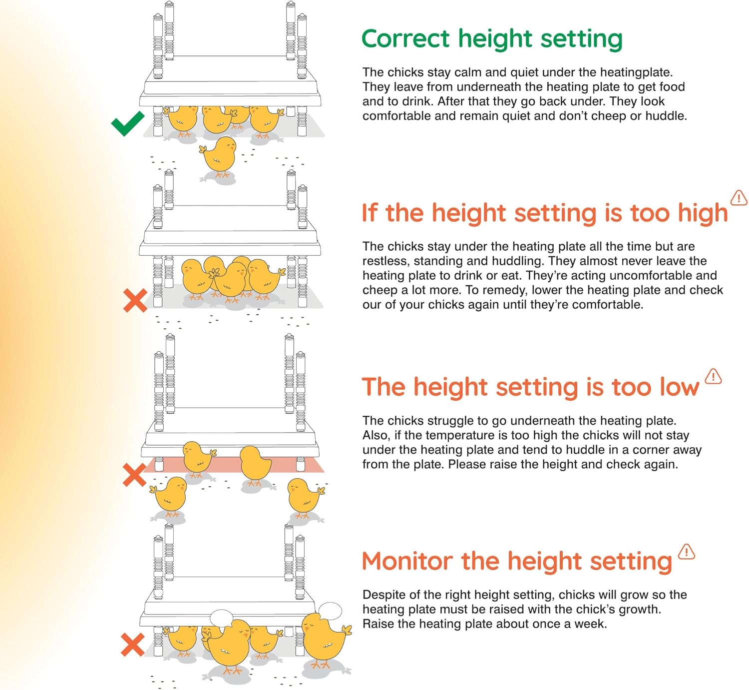 Hatching Time Warmzy 10"x10" Chick Heating Plate – Safe 15W Chicken Coop Heater for 15–20 Chicks with Adjustable Legs | Gentle Low-Heat Brooder Plate for Chicks, Durable Fire-Resistant Chicken Heater
