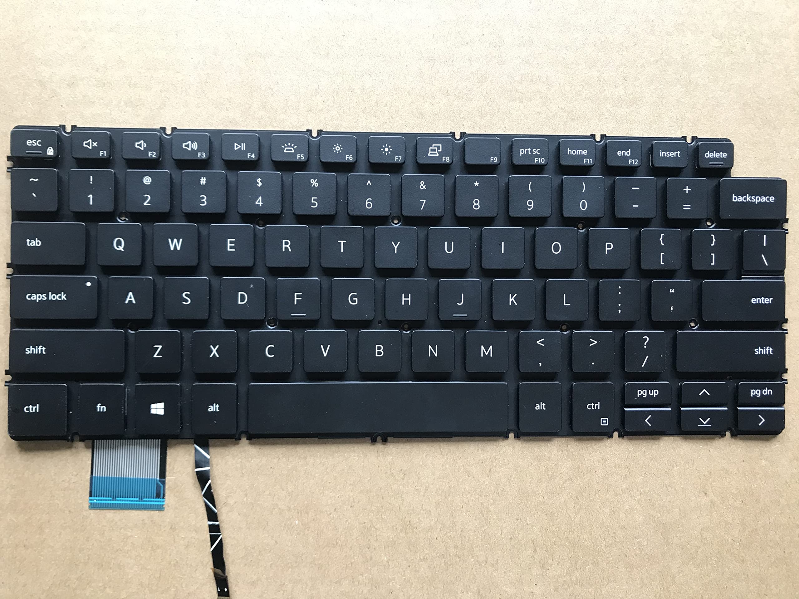 Amazon.com: Original New for Dell Latitude 13 3301 13.3