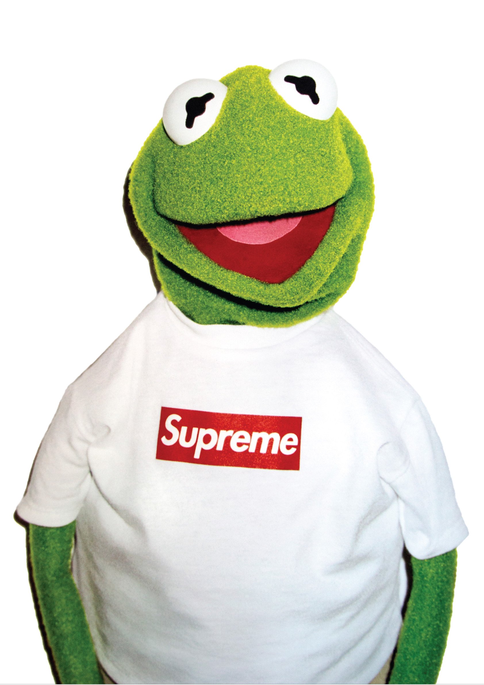 Fotojig Kermit the Frog X SUPREME A1 Large Icon Poster Rare