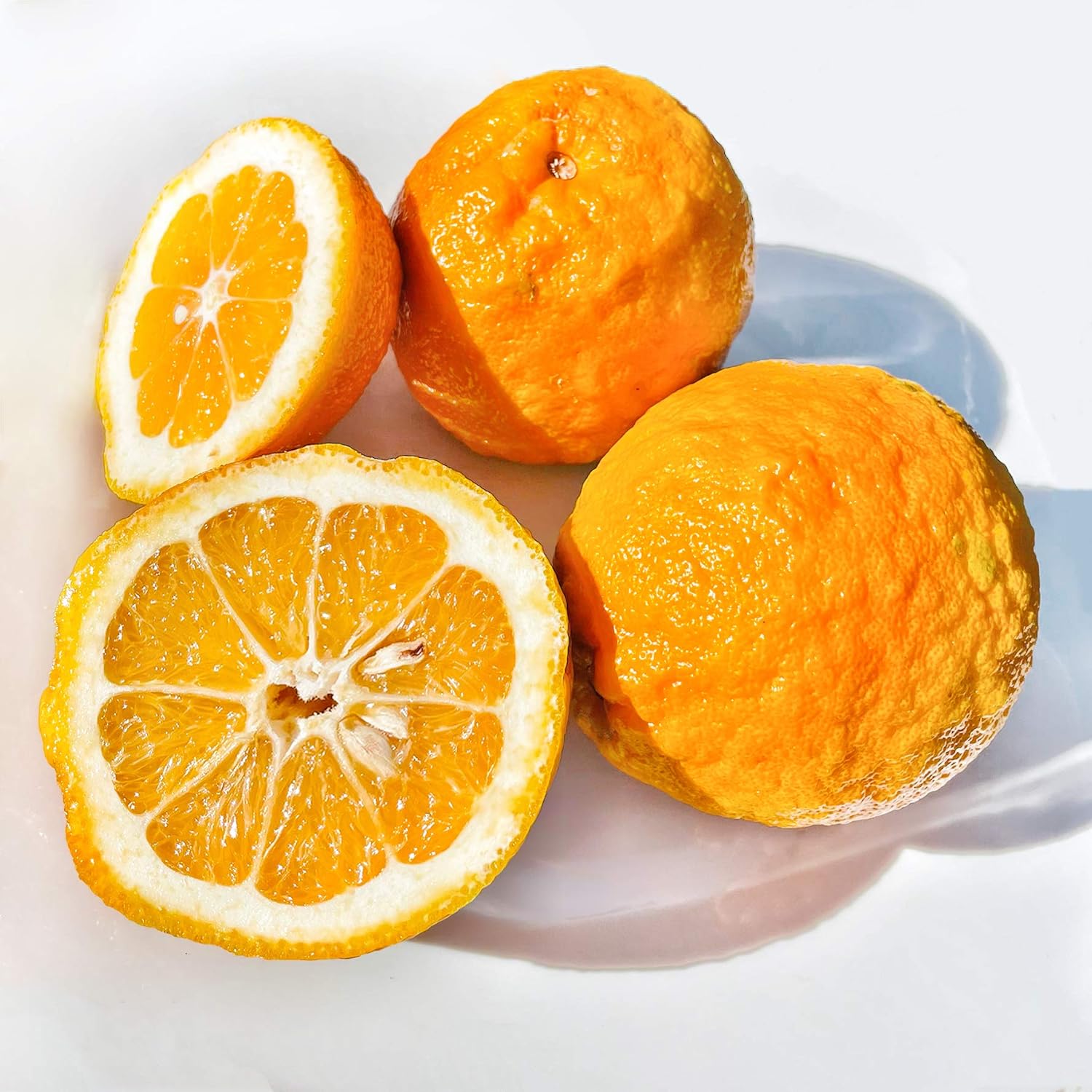 Kejora Fresh Seville Oranges/Bitter Oranges 4 LB