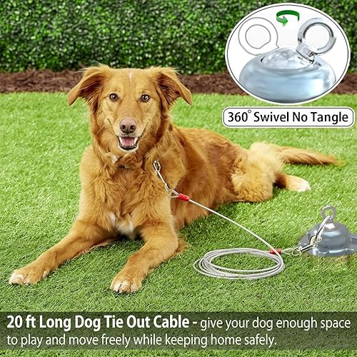 Miniatura 2 de Anclaje giratorio de 360 para perro de Cable y Estaca, Cuerda de 20 pies y Estaca a prueba de óxido para perro Pequeño, Mediano y Grande, perfecto