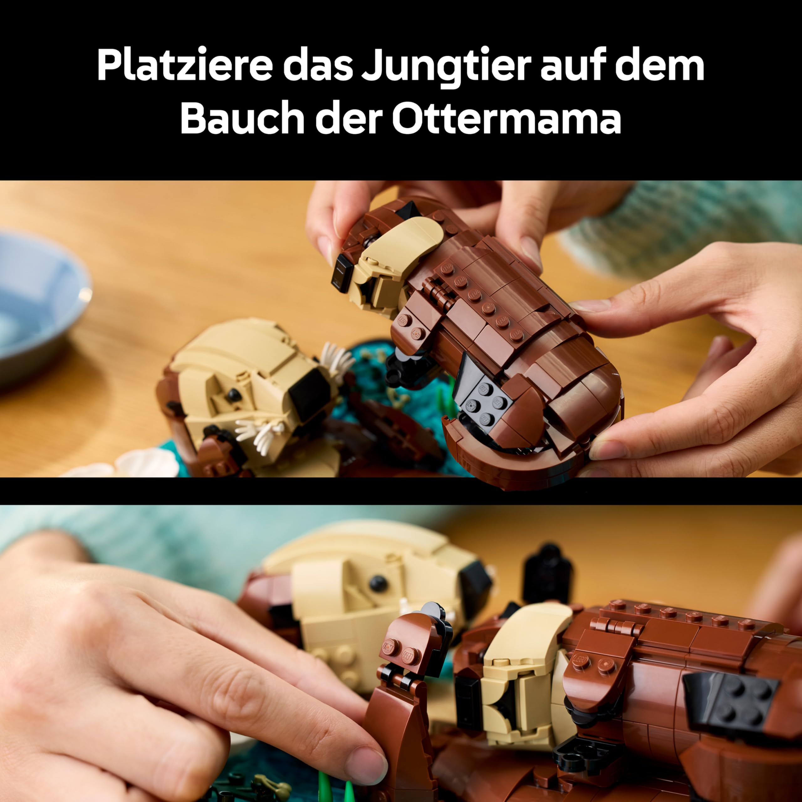 LEGO Ideas Schwimmende Otter - Modellbau für Erwachsene - 3D Puzzle mit Seeotter Figuren (Mutter & Jungtier) - DIY Deko für Regal oder Wohnraum - Geschenkidee für Kunst- & Bastelfans - 21366