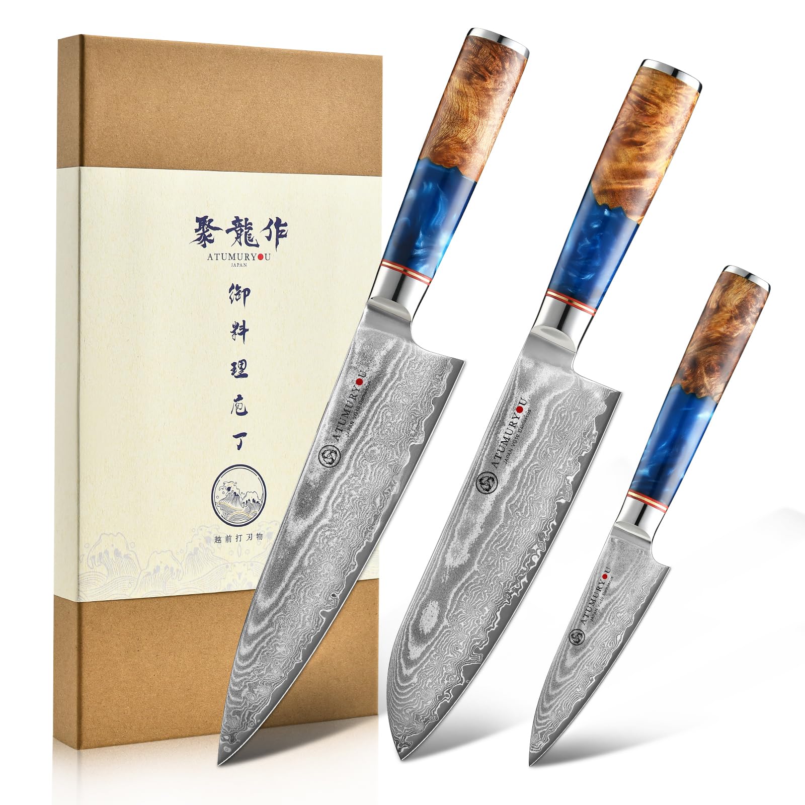 Amazon.com: Japanese Chef Knife Set 3 Pcs, 67-Layer Damascus