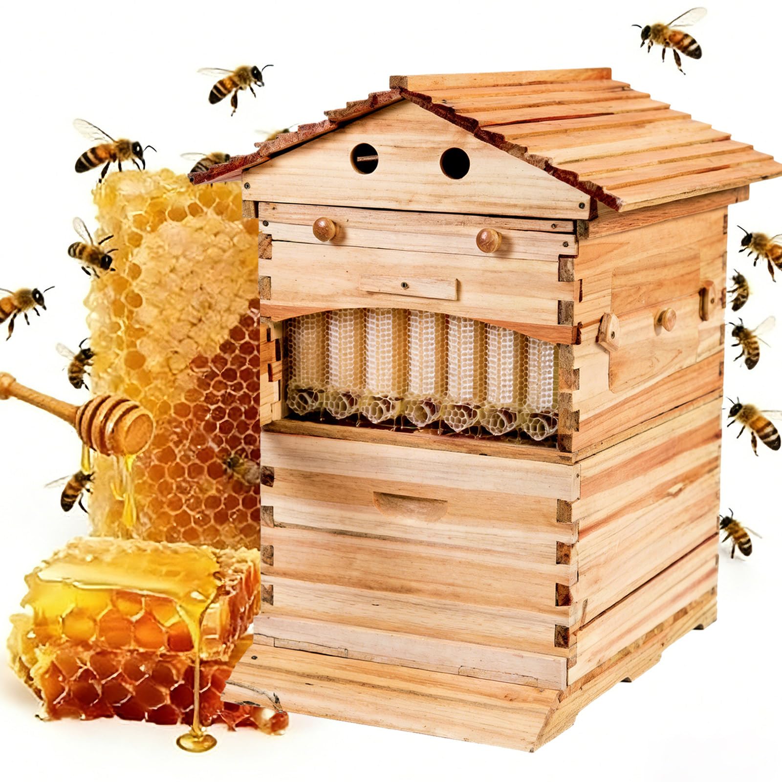 Kit Di Avviamento per Apicoltura per Arnia a Flusso Automatico, Arnie in Legno Con Finestra Di Osservazione, Completo Apicoltura Principianti, Hobbisti Appassionati, per L'apicoltura Domestica