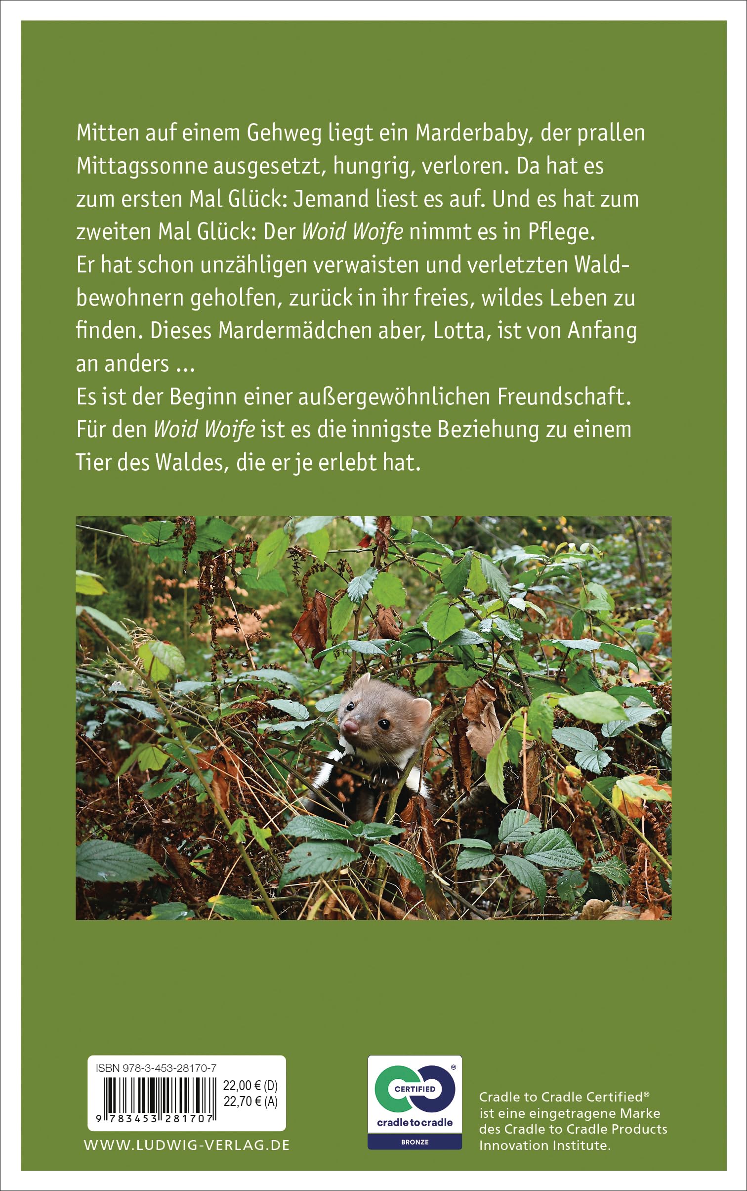 Lotta Mardermädchen: Die unglaubliche Geschichte einer außergewöhnlichen Freundschaft - Inkl.48-seitigem Farbteil mit faszinierenden Tierfotos