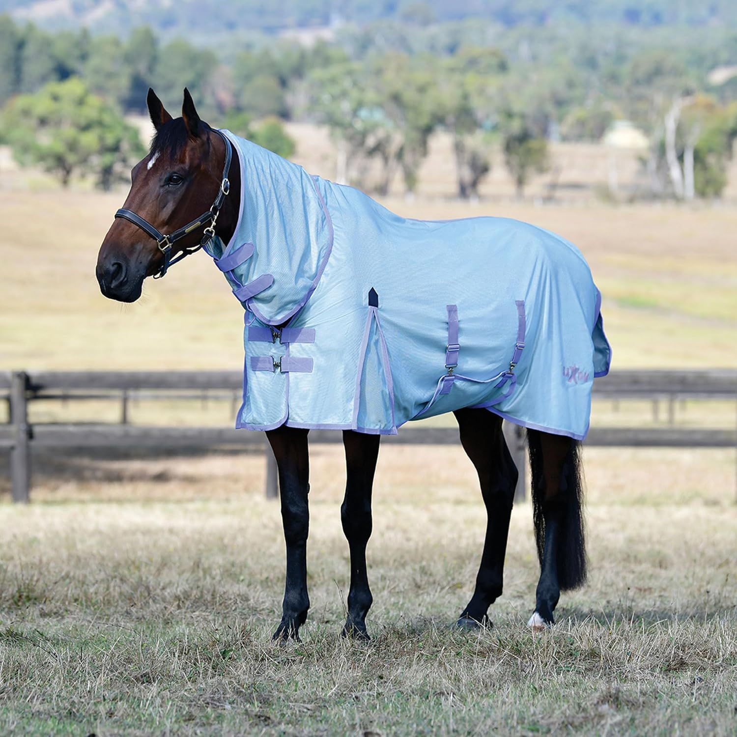 Saxon Mesh with Gusset Belly Wrap Combo Neck, Stone Blue/Lavender, 78"
