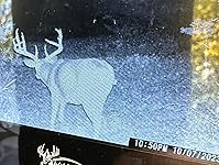 Review Image by T. Anderson T. Anderson