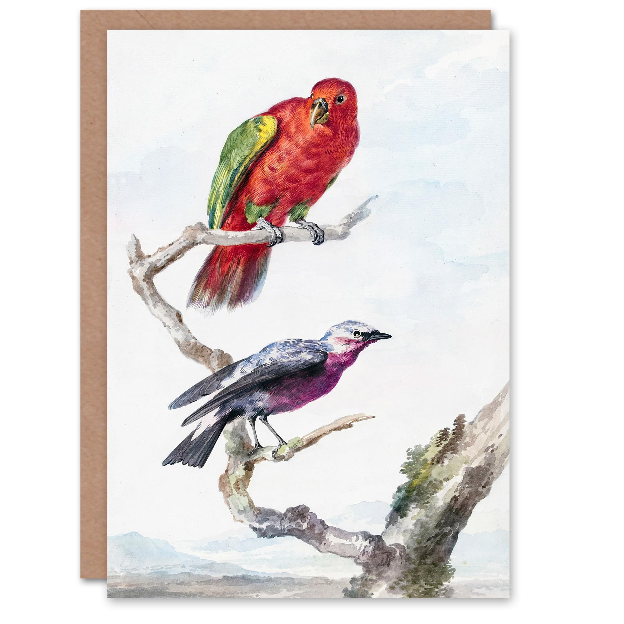 Artery8 Aert Schouman Art Card Red Green Parrot and Bird Watercolour