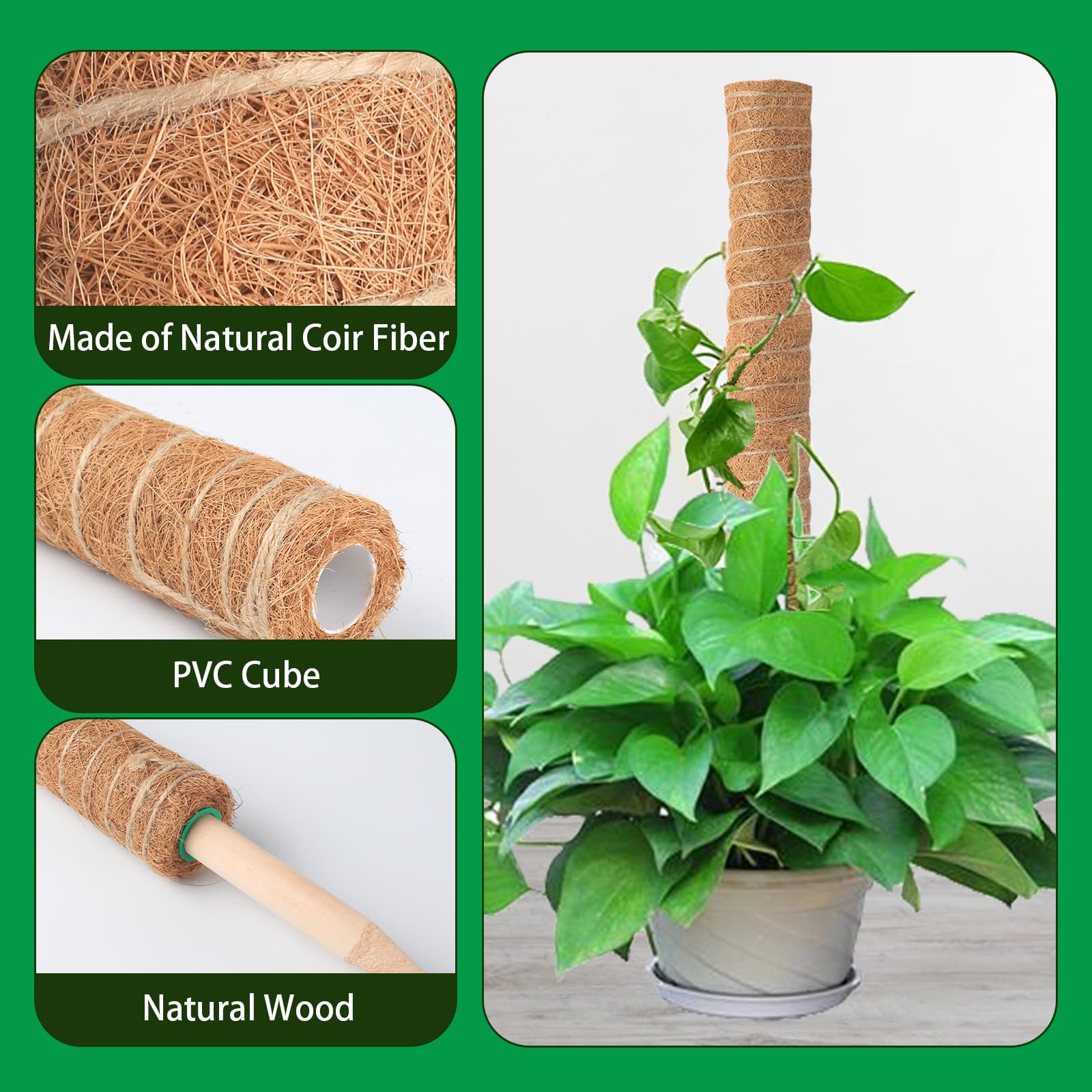 Amazon.com : 6 Pack Moss Poles for Monstera Plant Support