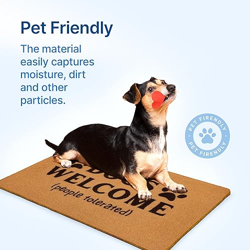 Miniatura 7 de Felpudo tolerado para gatos de 30 x 17 pulgadas, felpudo de bienvenida para gatos, felpudo tolerado con animales, felpudo para puerta de gato,