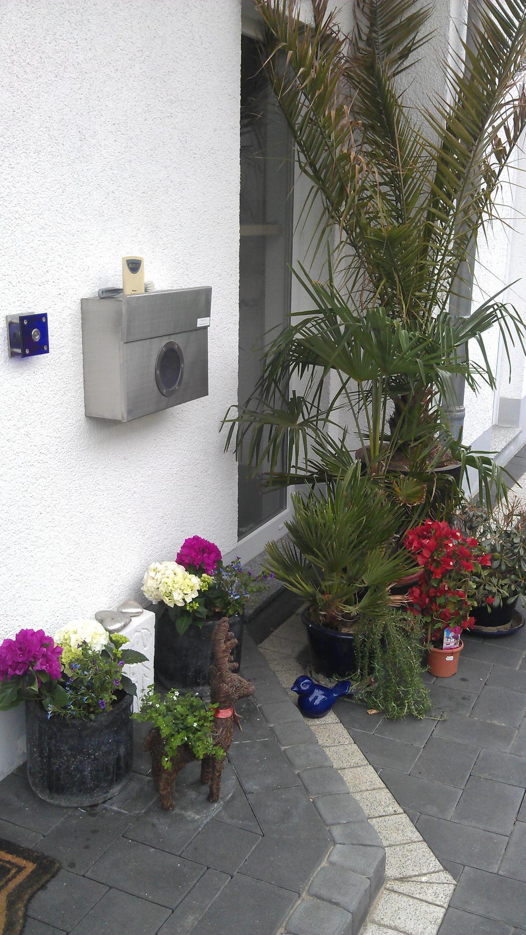 Dehner Oleander-Dünger Flüssig - Perfekt Für Mediterrane Pflanzen