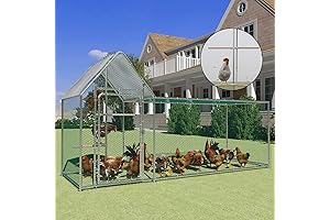 6-Chicken Walk-In Chicken Coop: Premium Protection for Your Flock