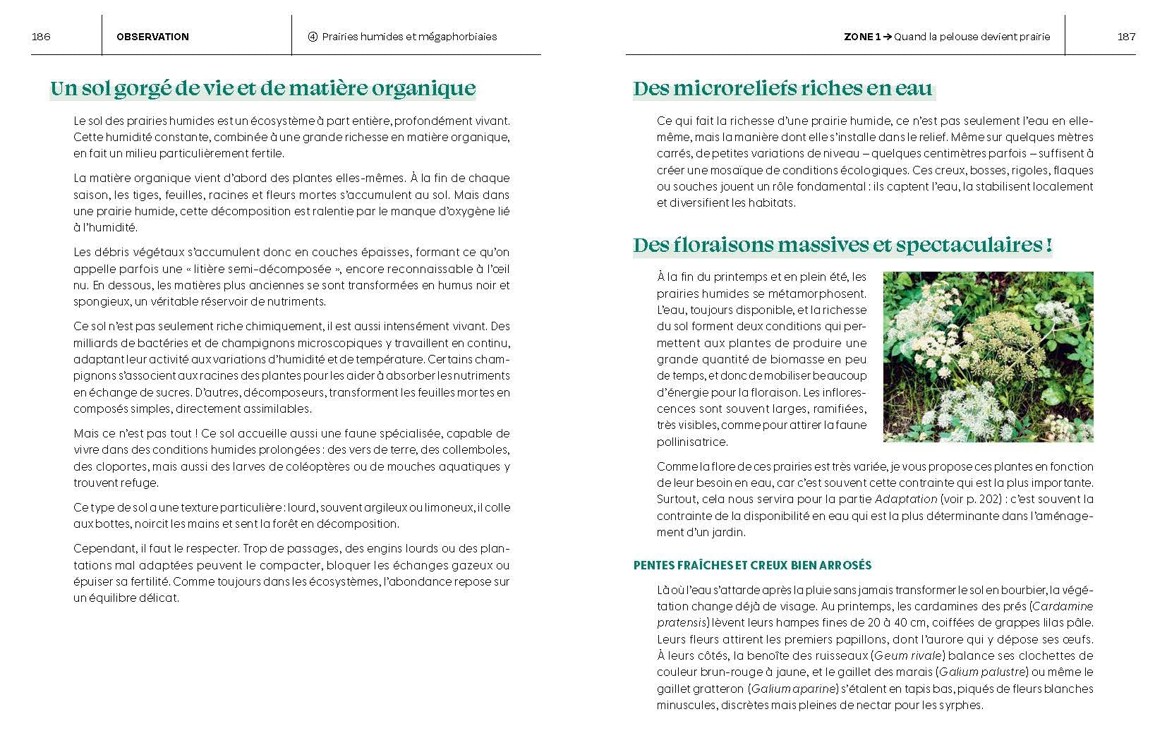 Le Guide pour réensauvager les jardins: Jardins, balcons, terrasses...