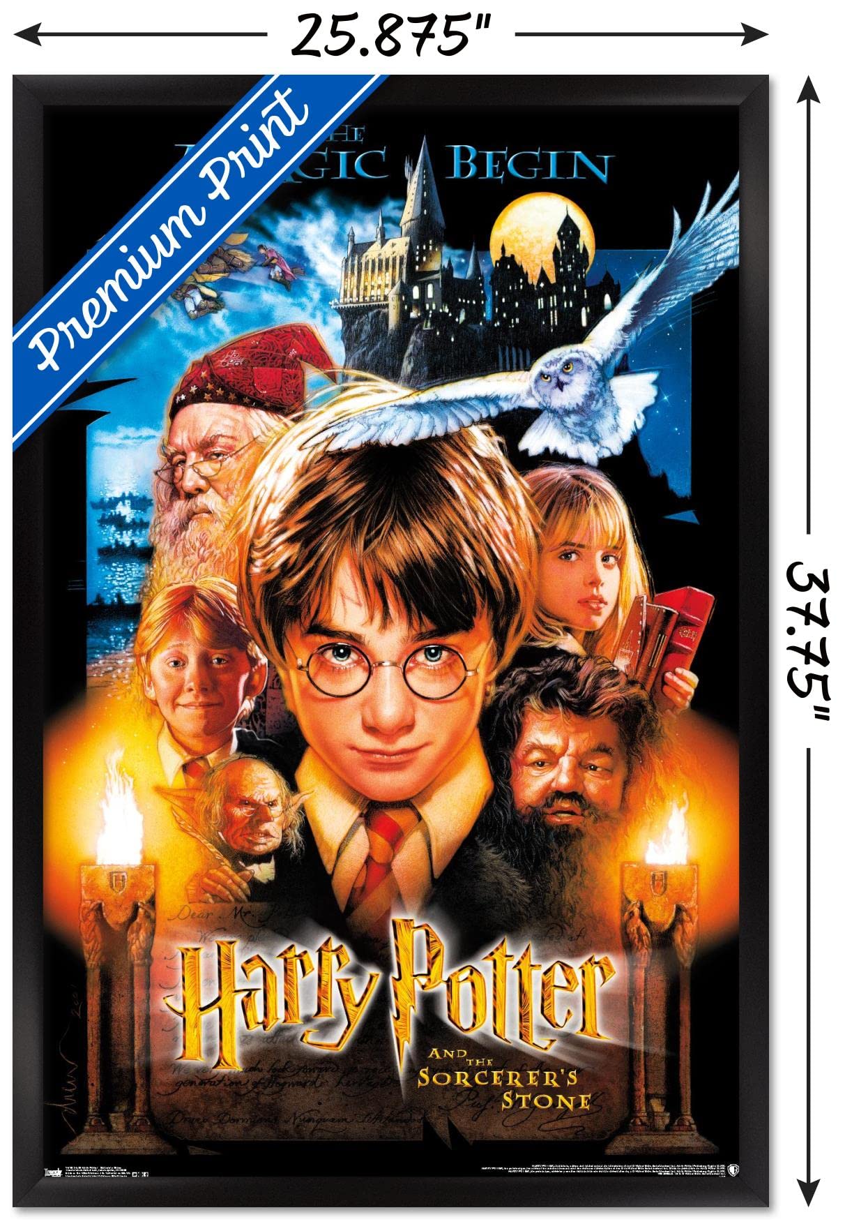 ポッター画面 24X36 Harry Potter and the Sorcerer's Stone - One Sheet Wall