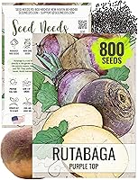 Seed Needs Purple Top Rutabaga Seeds - Non-GMO Heirloom Open Pollinated for Home Garden Fall Harvest (1 Pack)
