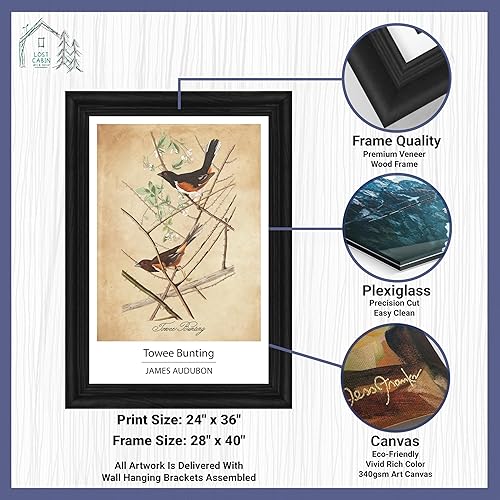 Vista 303 de Towee Bunting by James Audubon - Marco biselado negro de 12 x 16 pulgadas, decoración artística enmarcada para pared, reproducción de pinturas