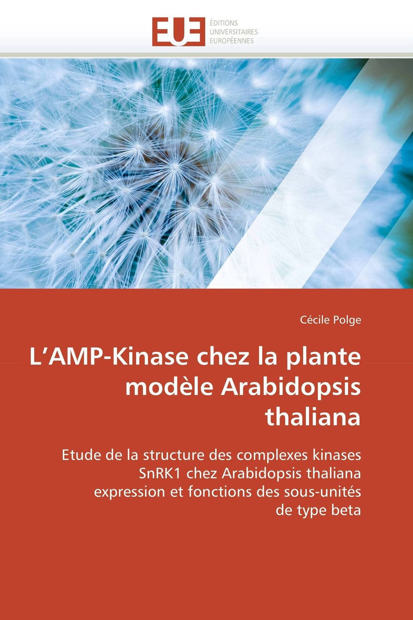 L’AMP-Kinase chez la plante modèle Arabidopsis thaliana: Etude de la structure des complexes kinases SnRK1 chez Arabidopsis thaliana expression et ... sous-unités de type beta (Omn.Univ.Europ.)