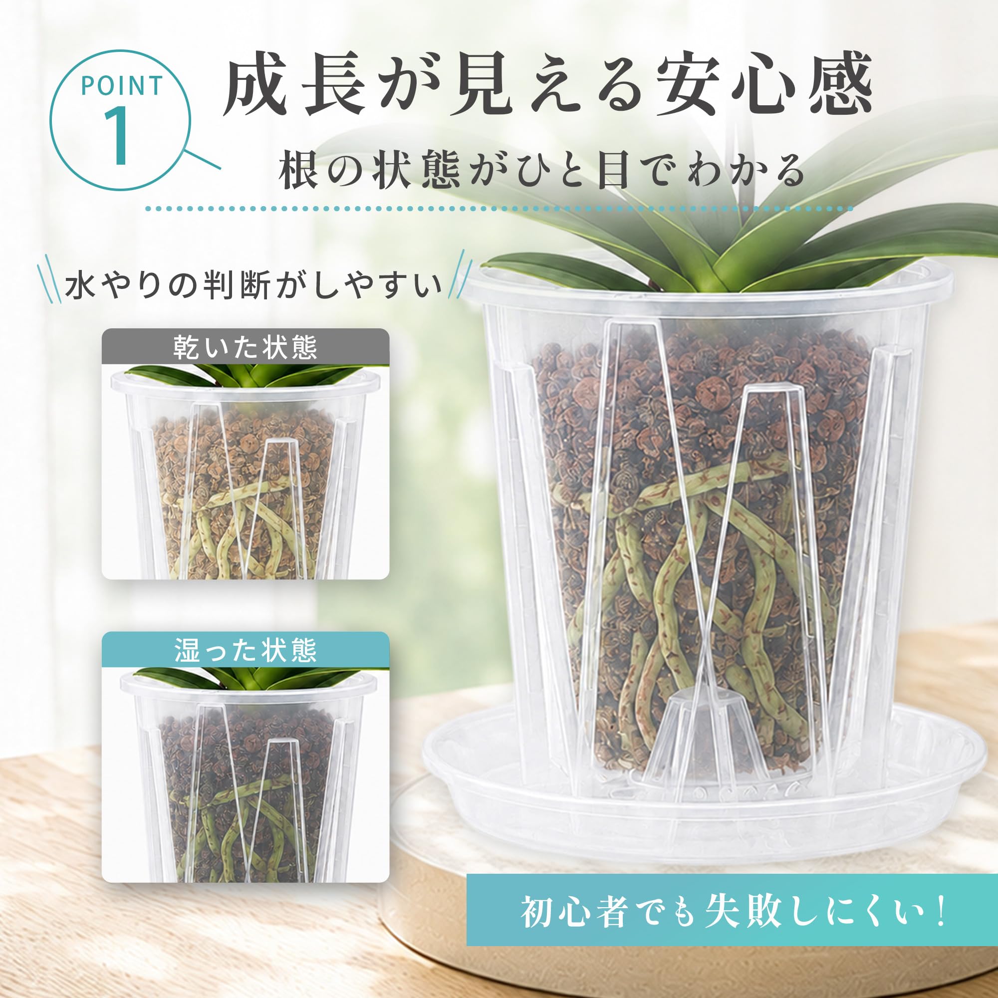透明植木鉢 専用ページ 観察できる植木鉢 | イノマタ化学株式会社