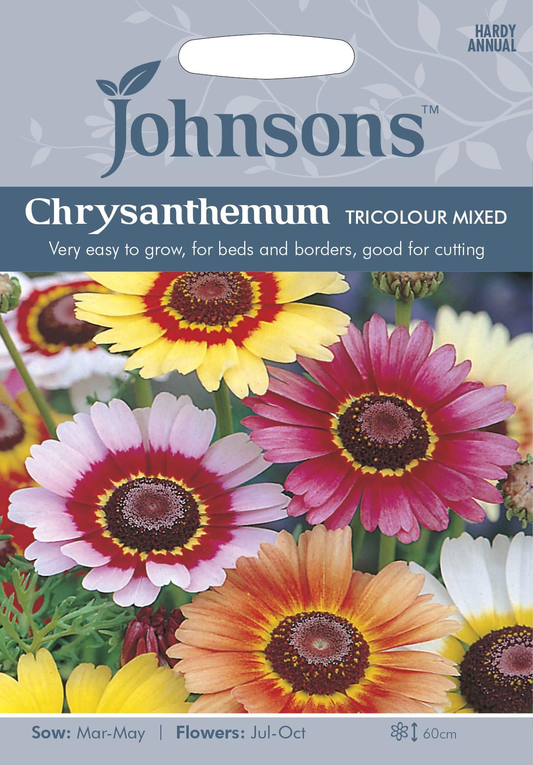 Johnsons Chrysanthemum Tricolour Mixed